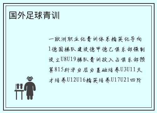 国外足球青训